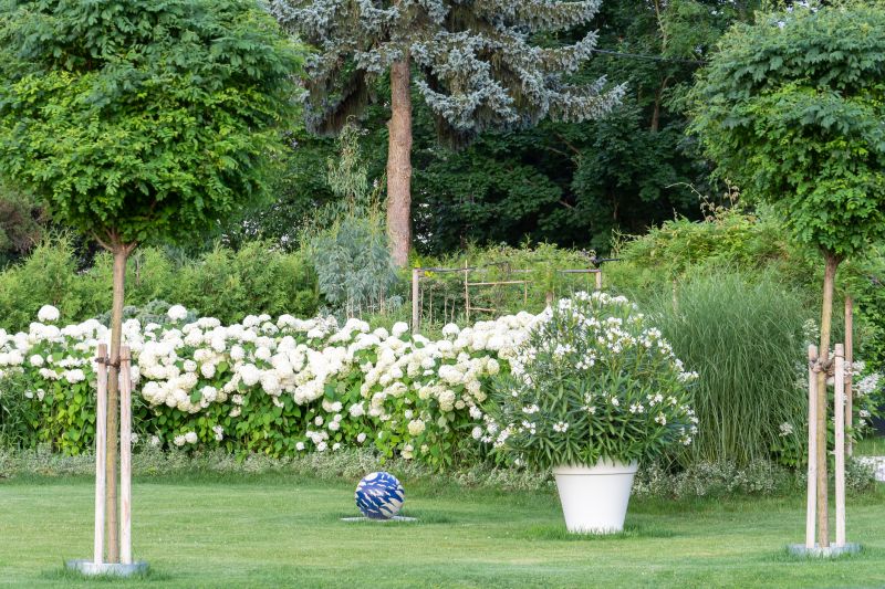 Finished Landscape with Lawn and Trees