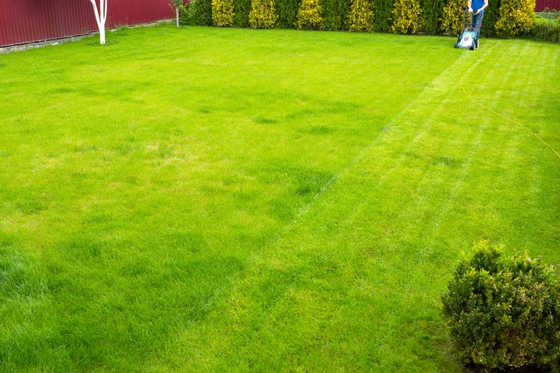 Lawn Maintenance Companies